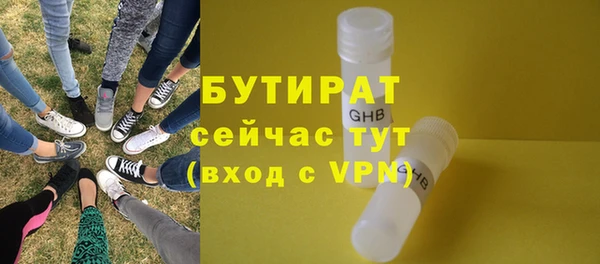 шишки Арсеньев