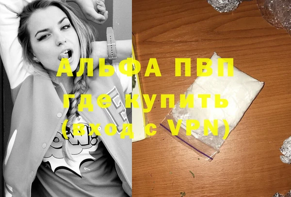 шишки Арсеньев