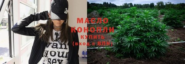 шишки Арсеньев