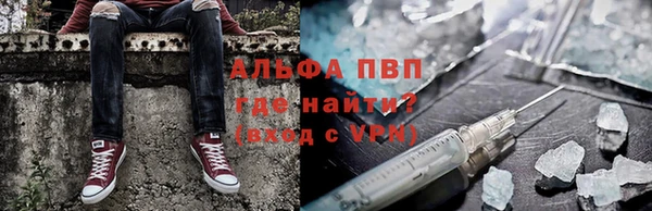 a pvp Аркадак