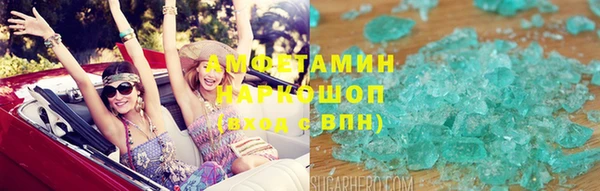 шишки Арсеньев