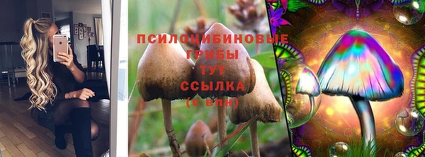 таблы Армянск