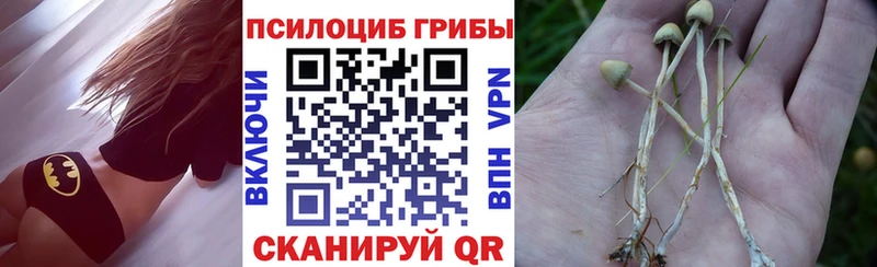 Галлюциногенные грибы ЛСД  наркота  Вольск 