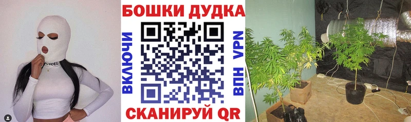 Бошки марихуана Bruce Banner blacksprut зеркало Вольск